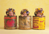 Educa Puzzle Pansies