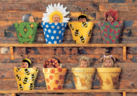 Educa Puzzle Potting Shed
