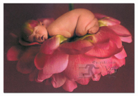 Educa Puzzle chelsey