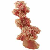 Litolity Soft Mercan  19 cm