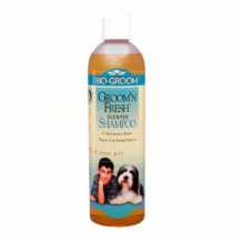 Bio Groom Koku Giderici Konsantre ampuan  355 ml