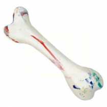 Dr. Sacchi Kauuk Kemik  20 cm