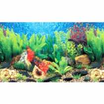ift Tarafl Akvaryum Posteri  30 x 15 m