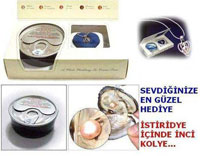 stiridye inden kan nci Kolye