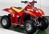 Midi Atv - 50 CC