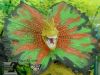 Dinosaur World - Goril ve Dinazor